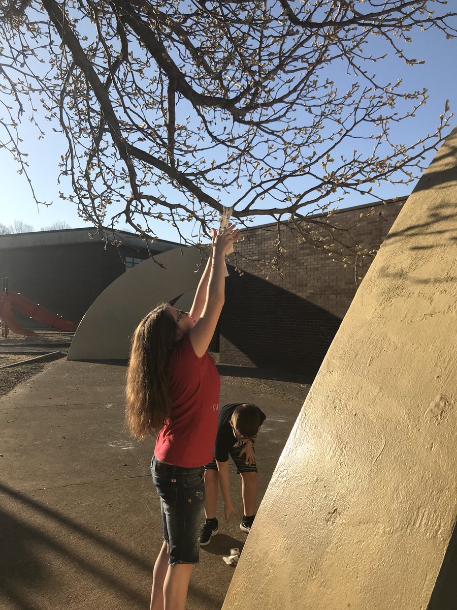 Meredith bridger tweet media