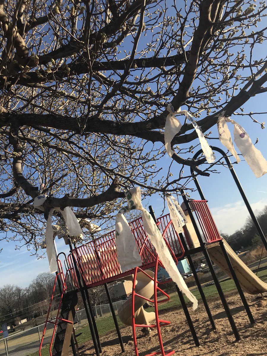 Meredith bridger tweet media