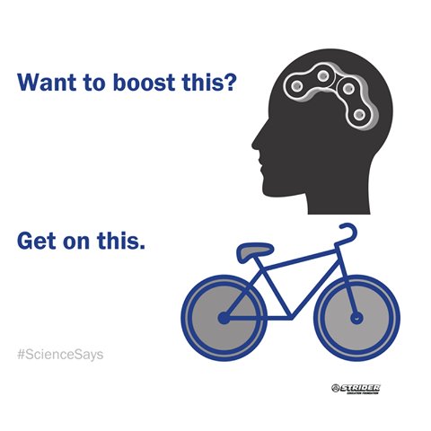 Strider_Edu's tweet image. Can you think of a better way to boost your brain?  Go Ride!  #FunFactFriday #ScienceSays #BrainBoostingFun #EveryoneCanRide buff.ly/2sOWYXc @PsychToday