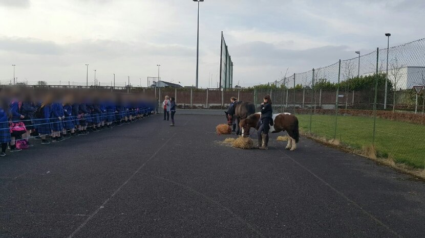Lovely visit to St Joseph's Mercy Convent in Navan this morning 😊 Our director Victoria gave a presentation& introduced the horses, Lily & Beag 🐴❤Thank you for the warm welcome! Let us know if you'd like a visit to your school 👍😁 #Ability