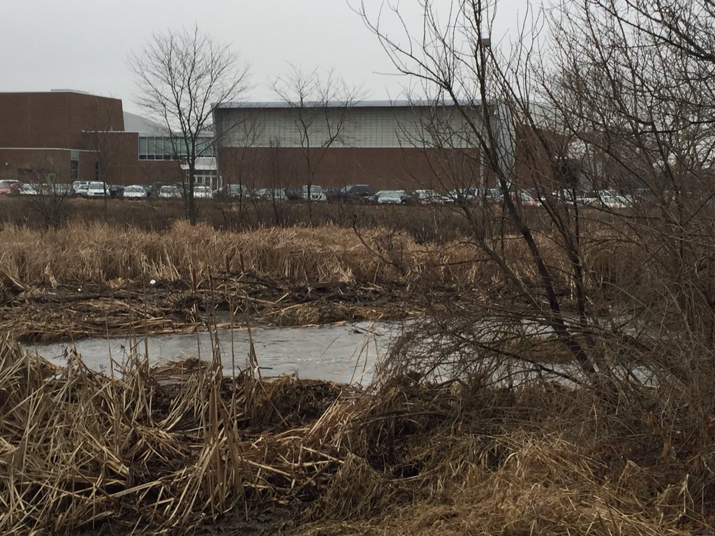 ShortsScience's tweet photo. Earth Science class was outside today to kick off our water unit! Because of the recent heavy rain in the area we took a look at flooding effects and flooding prevention methods. #outdoorsciencelab #itsnotcold #shortsweather https://t.co/WX2056ZEz9
