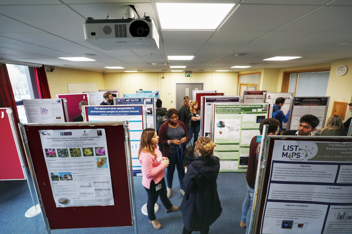 RyanInstitute's tweet photo. Circa 140 research posters presented by 111 @ryaninstitute research teams at todayโs #RyanInstitute Annual Research Day 2018 in @nuigalway today. Superb inter-disciplinary networking! #Anthropocene #SustainableDevelopment #SDGs https://t.co/NYLuk3JtP2