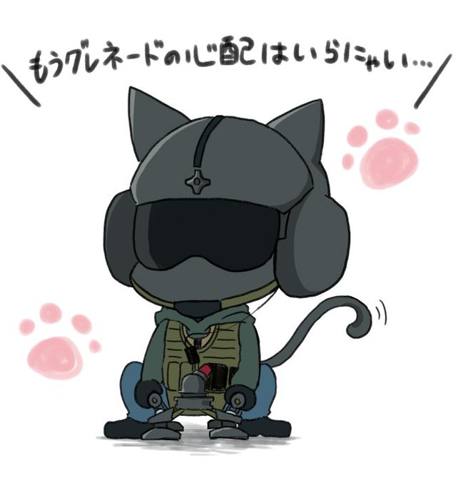 R6sのtwitterイラスト検索結果 古い順