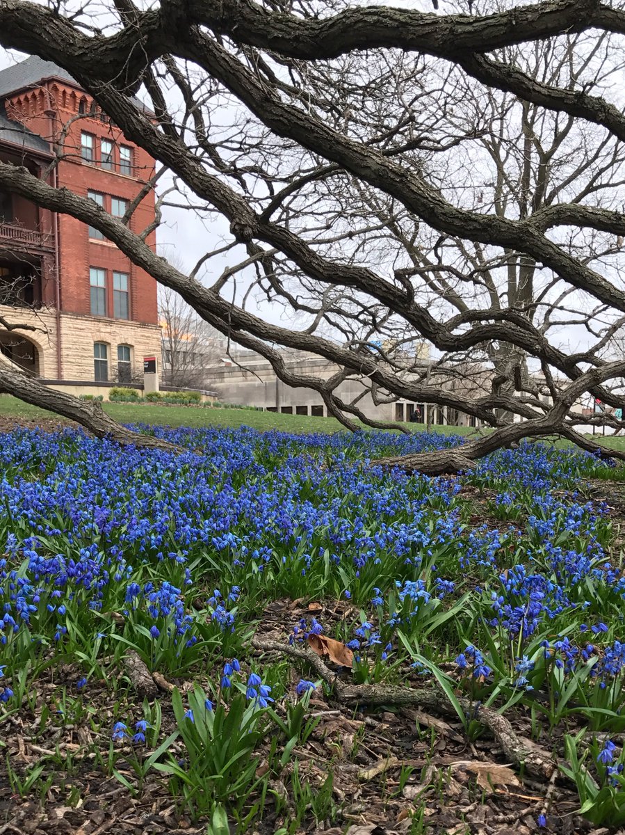We are impatiently waiting for spring☀️ Happy Friday everyone!