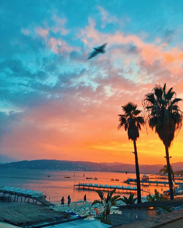 Rêver aux douces soirées d'été 🌅🌴
Douce soirée à tous !
📷: <a href="/chisanahoshi/">Elisa Chisana Hoshi</a>
#AntibesJuanlesPins #CotedAzurFrance