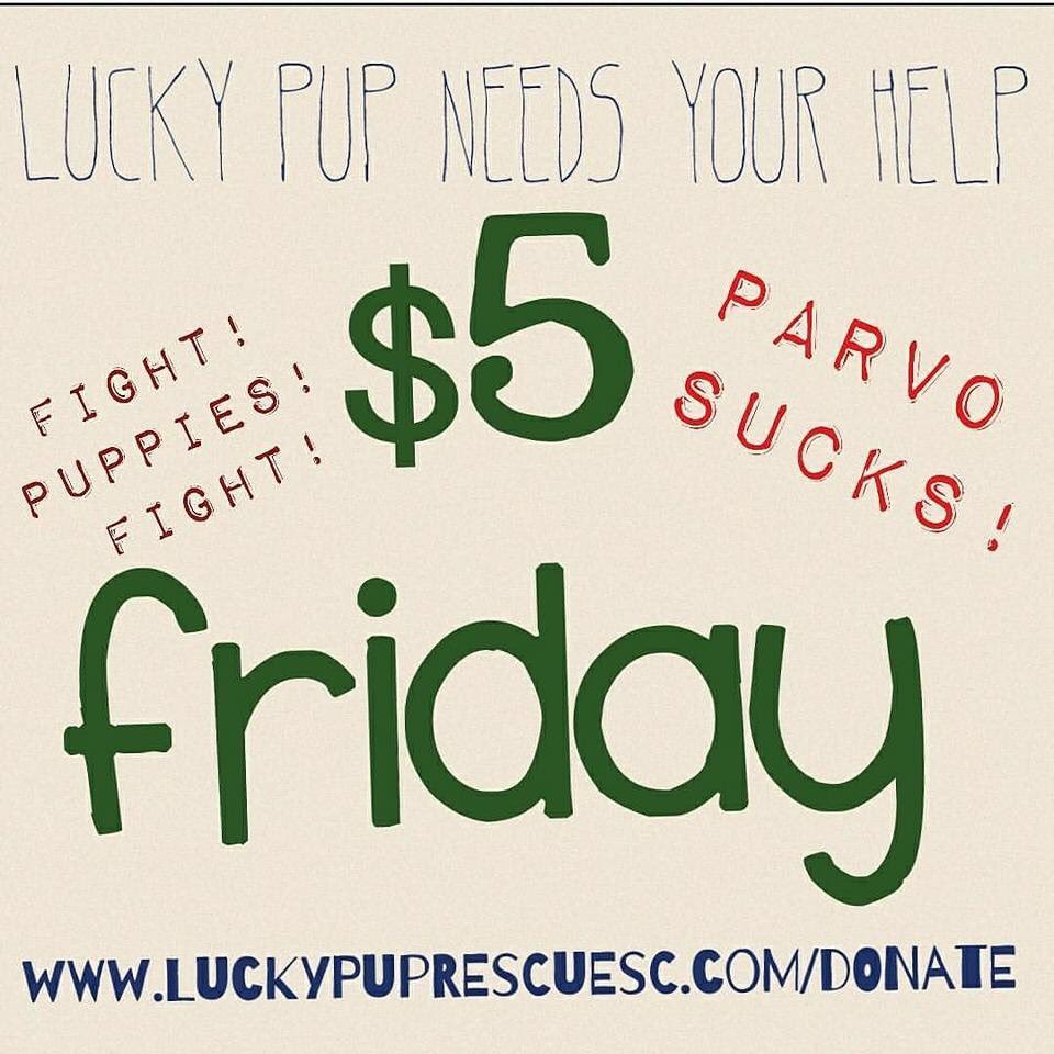 #rescuedogsrock #AdoptDontShop #mansbestfriend #yeahTHATgreenville #luckypuprescue #SouthCarolina