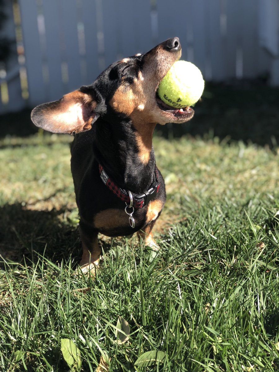I love playing ball! 🎾 Happy Friday everyone!