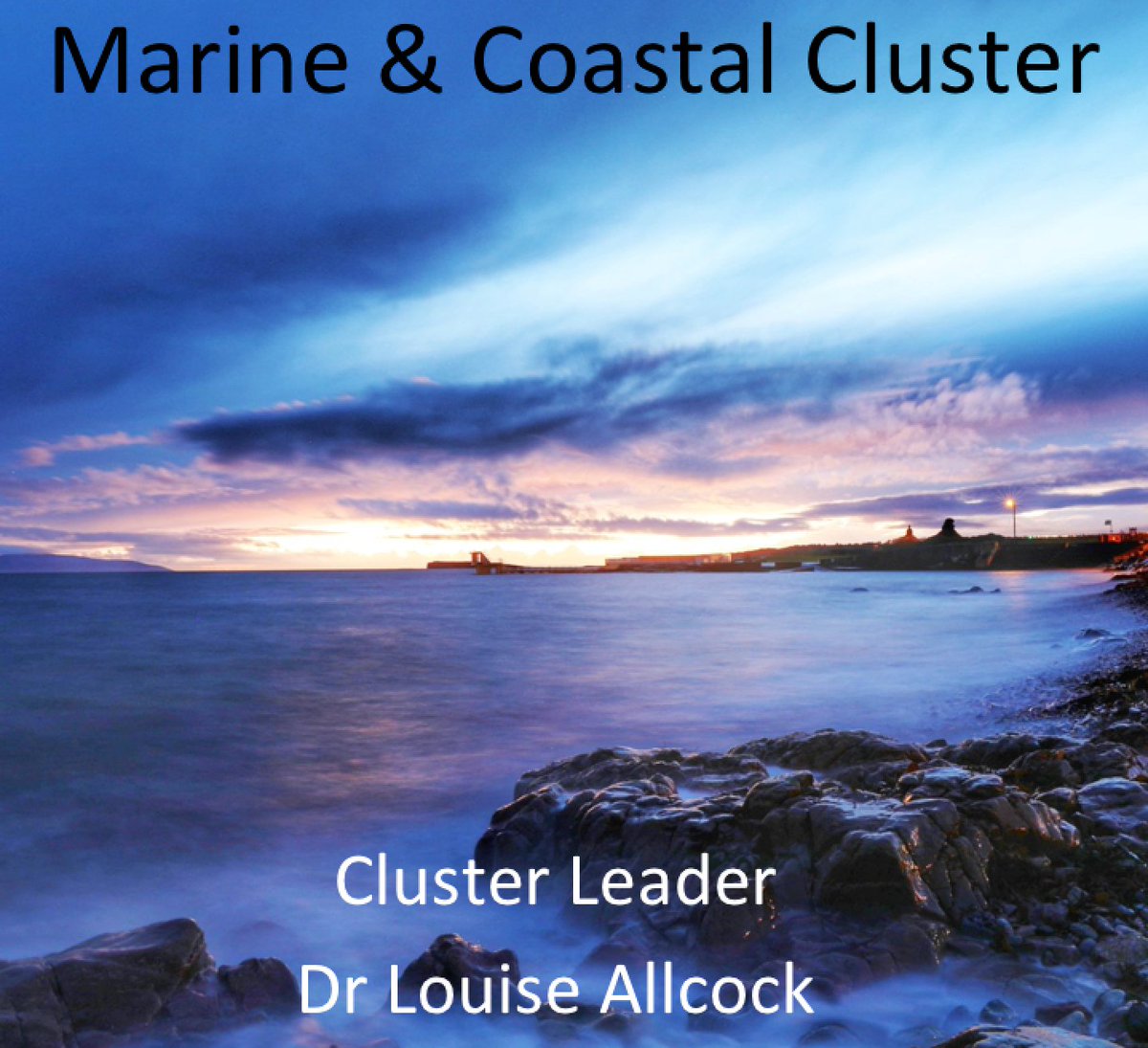 RyanInstitute's tweet photo. Super overview by Dr. Louise Allcock on the research activities of the @ryaninstitute Marine & Coastal Research Cluster at #RyanInstitute Annual Research Day 2018 in @nuigalway today #Anthropocene #SustainableDevelopment #SDGs @DrShmoo https://t.co/vVLXc6dJcA