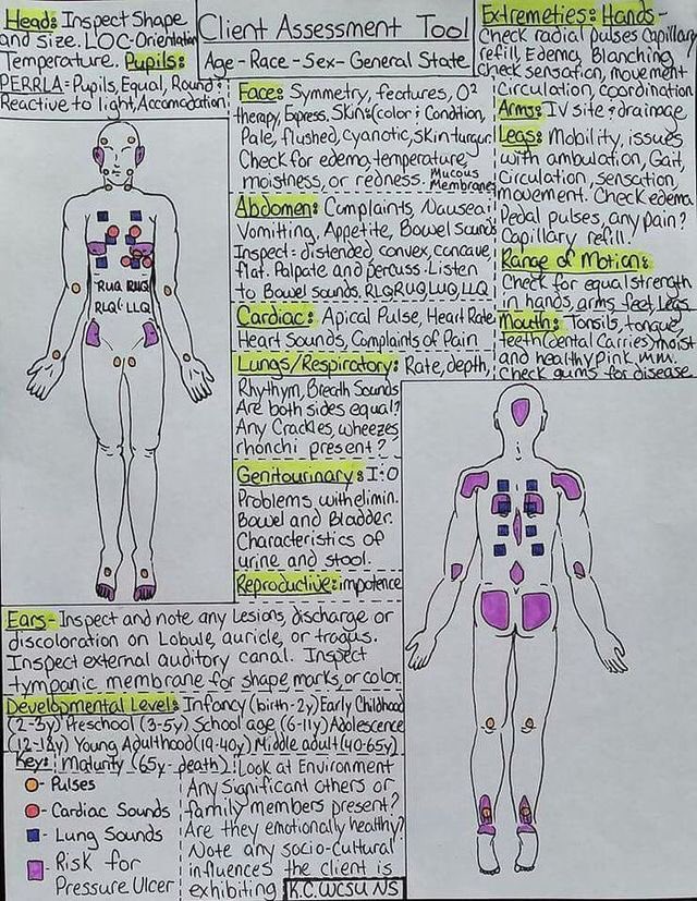 ThatBSNGirl's tweet photo. Head to Toe Assessment. Saw this online and thought I'd share it here. https://t.co/Yw6Om2OvG0