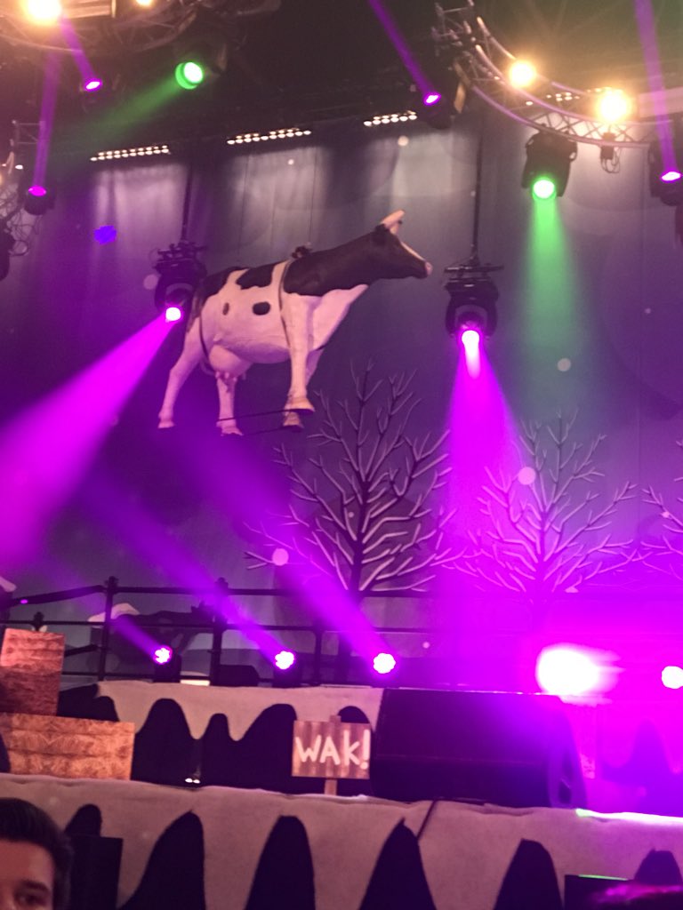 tessath's tweet photo. Der hinget yn ko ien e loft 😱 #CSFEST18 @coenensander https://t.co/dLAEXZsgpx