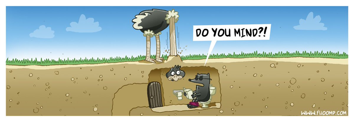 Fhoomp's tweet photo. Knock, knock! Who's there? It's the #Weekend! #cartoon #fhoomp #ostrich #mole #toilet https://t.co/no8uHHpJ2y https://t.co/TFSxozm354