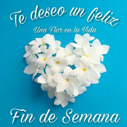 joe_romo's tweet photo. Mis mejores deseos para éste fin de semana. Reciban un fuerte abrazo. https://t.co/hwardZMm0d