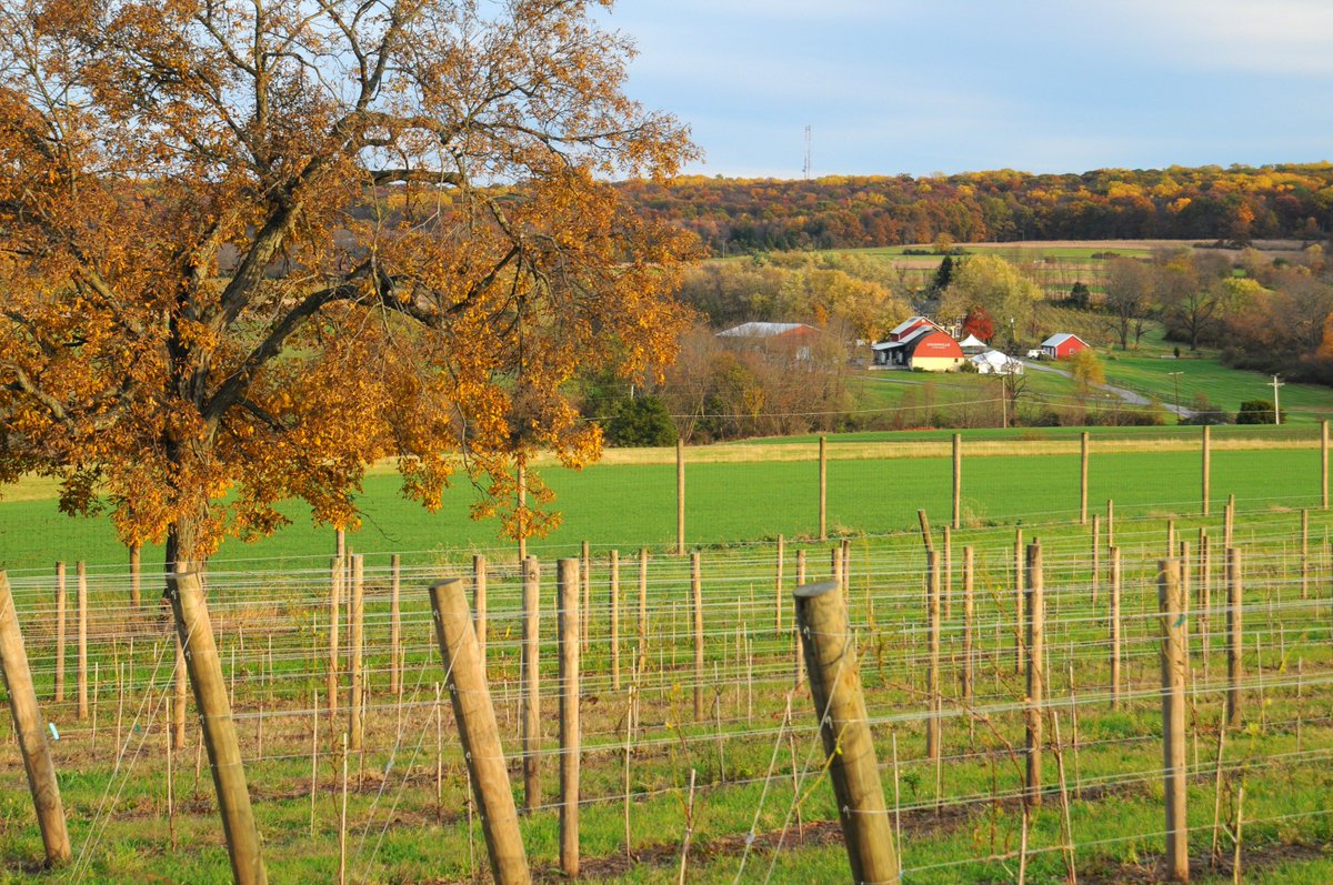 #NJwine continues its ascent. Read about it in <a href="/marketwatchmag/">Market Watch</a> marketwatchmag.com/new-jersey-win… <a href="/ediblejersey/">Edible Jersey</a> @jerseybites <a href="/NJWineandBeer/">@NJ Wine & Beer</a> <a href="/JerseyFreshNJDA/">Jersey Fresh</a> #jerseyfreshlove