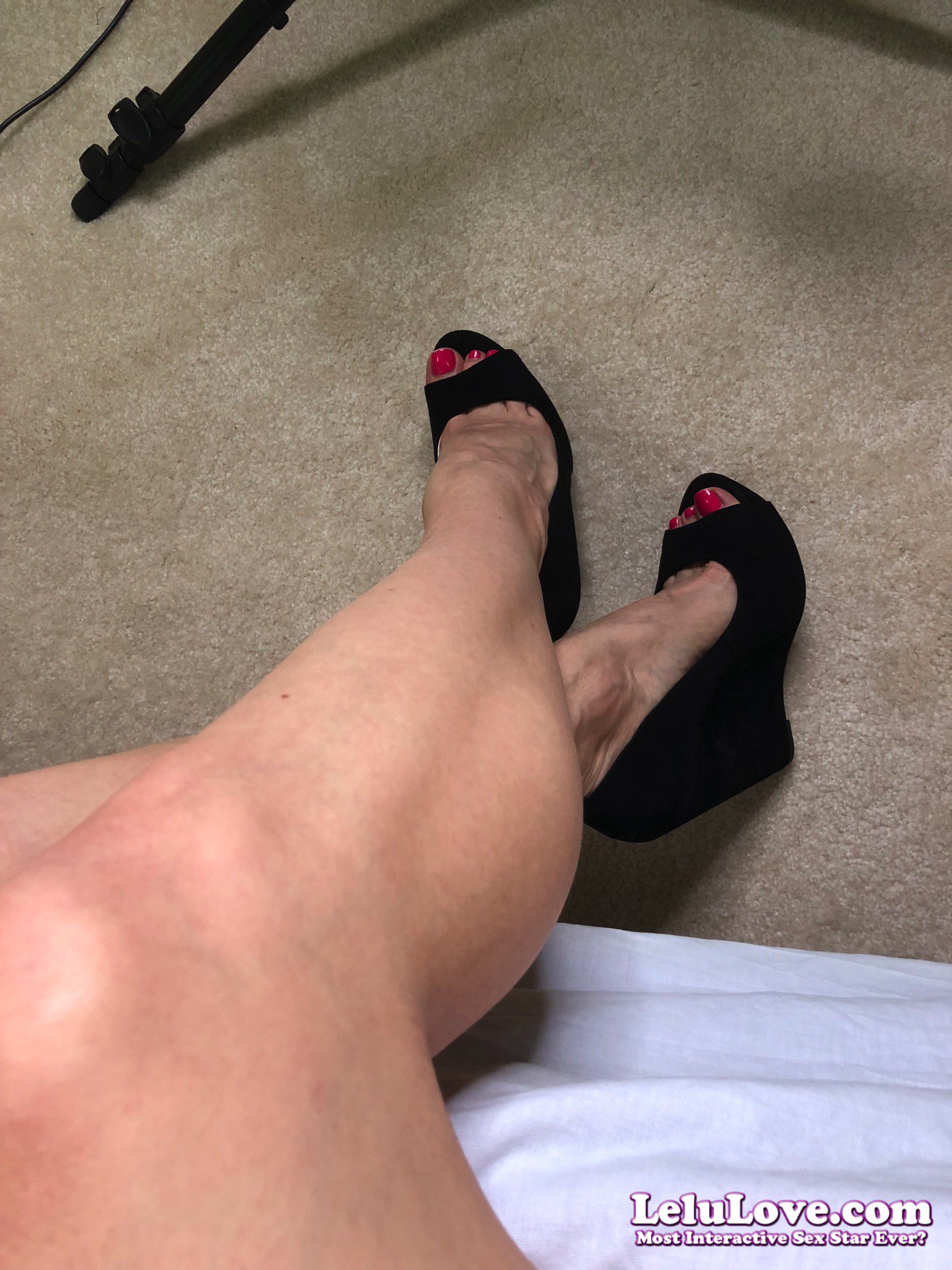 Arthex rex (@ArthexRex)  X