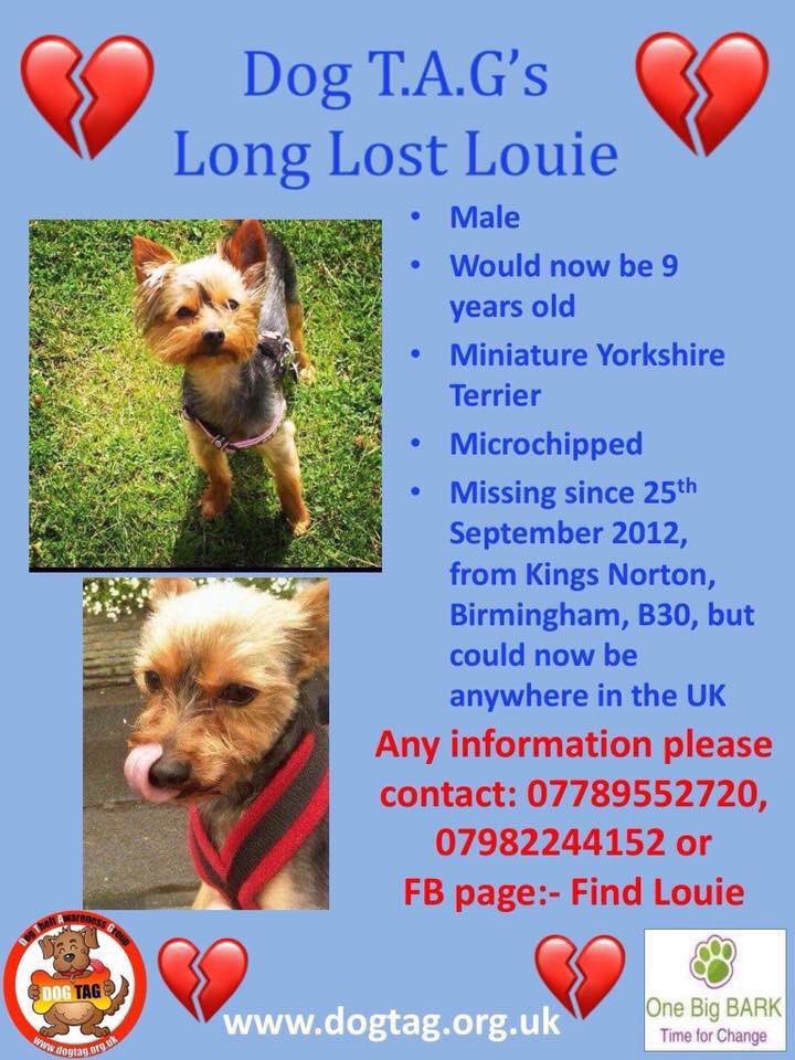 Mollie the Pug tweet media