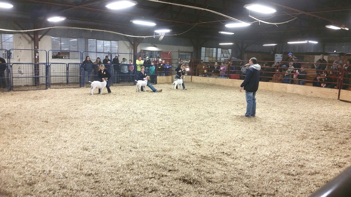 AFRFarmOrg's tweet photo. It may not feel like spring but young people across the state are actively involved in showing off their hard work this winter! Here we see Mick Clark, ag teacher at Morris, Okla., judging a class at the Nowata County spring show yesterday. #FFAWeek18 https://t.co/mEitFMokVm
