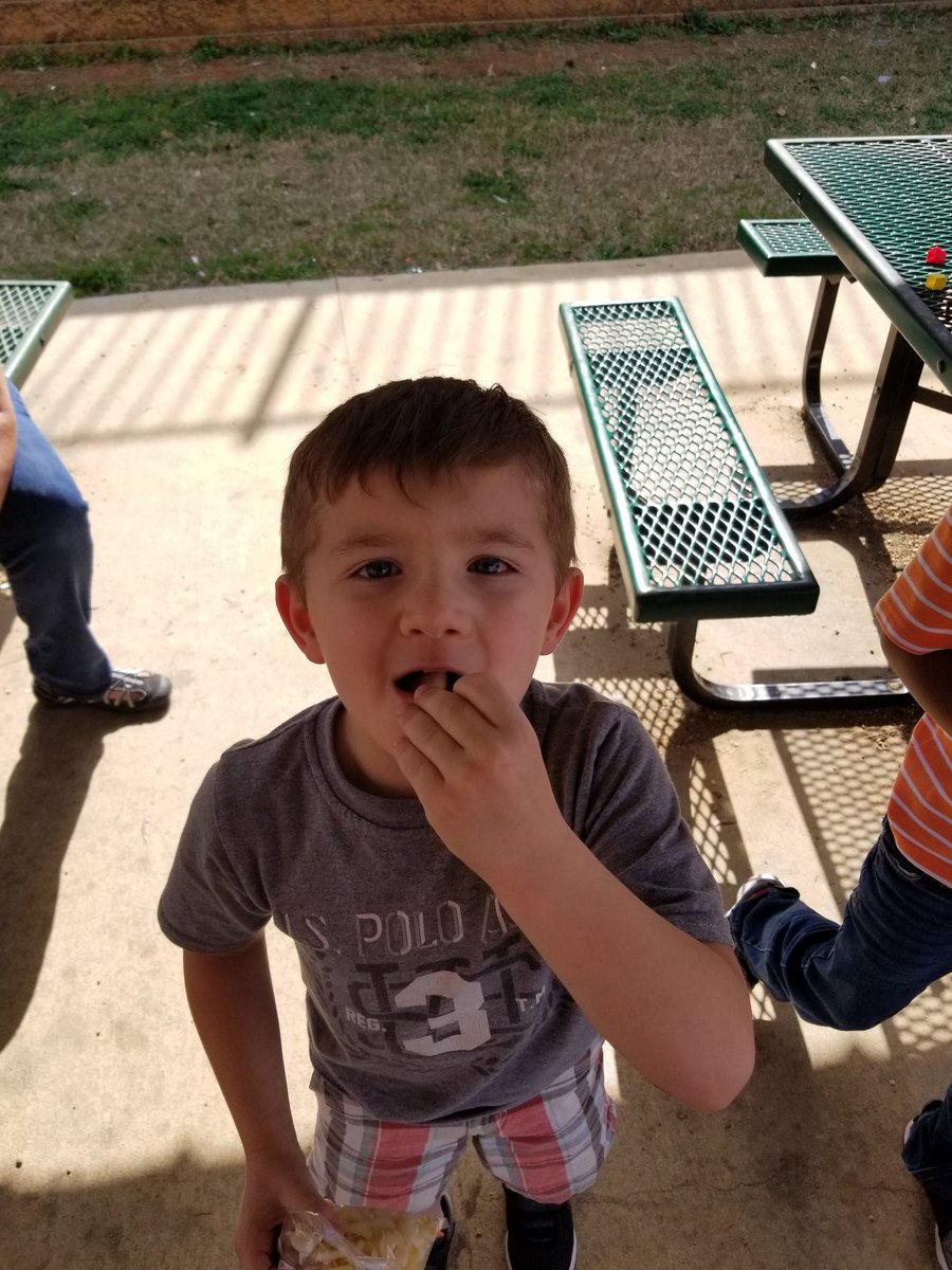 tippsmadison's tweet photo. Enjoying our endive, our vegetable of the week. @61WatsonWarrior https://t.co/KTfw31wz9C