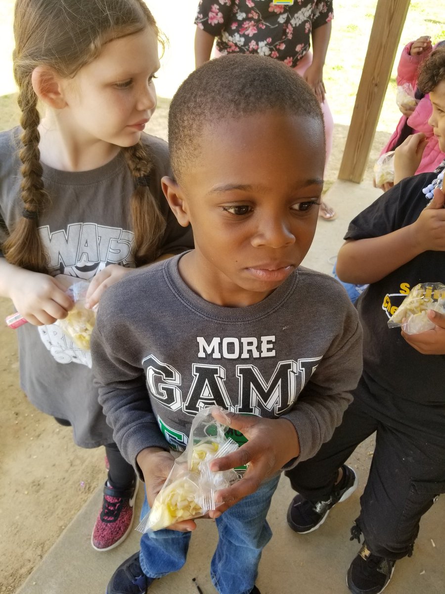 tippsmadison's tweet photo. Enjoying our endive, our vegetable of the week. @61WatsonWarrior https://t.co/KTfw31wz9C