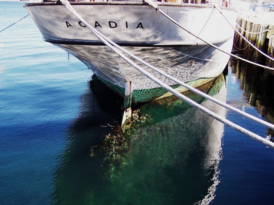 Portrait Sonore / Immersive podcast producer / App tweet media