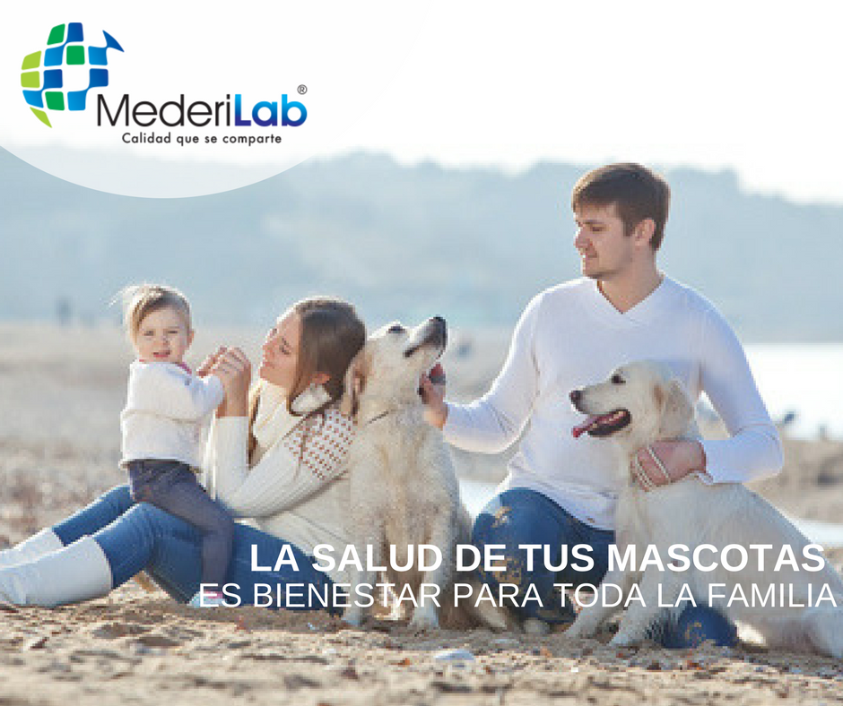 MederiLabMX's tweet photo. https://t.co/1NXM2XAaB2