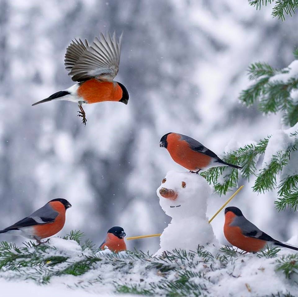 BillBryson2017's tweet photo. Beauty is everywhere: I just don't get tired of seeing things like this. https://t.co/TguofNwy2N