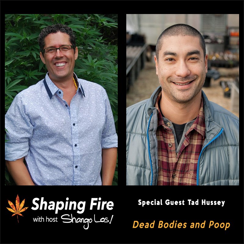 ShapingFire's tweet image. Dead Bodies and Poop in Cannabis? On this week's episode of @ShapingFire, host @ShangoLos talks with probiotic growing educator Tad Hussey of @kisorganics @KIS_Farm about the usefulness and sustainability of a wide array of animal inputs.  bit.ly/2FrLtaD