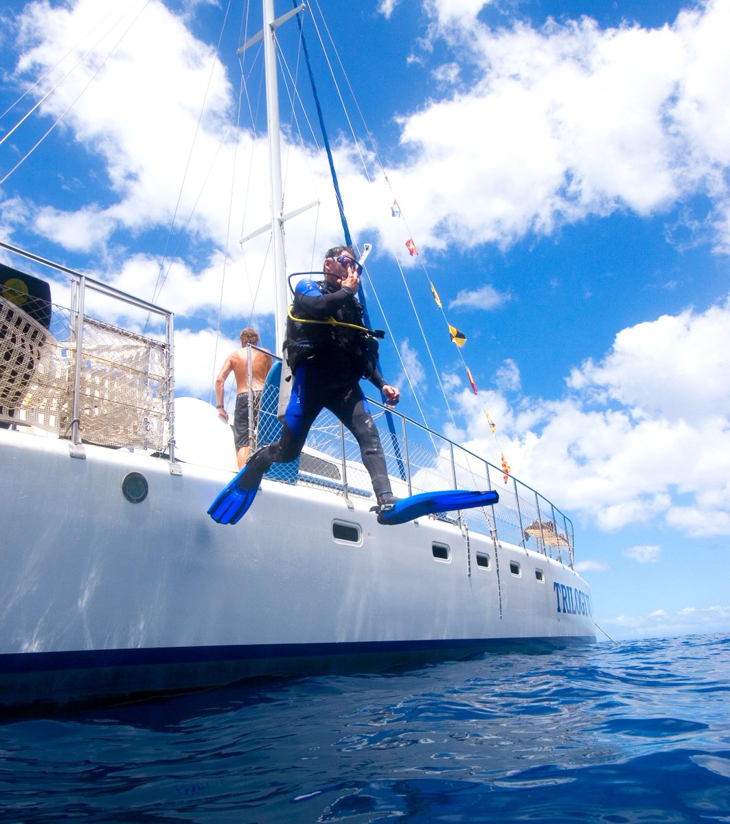 SailTrilogy's tweet photo. jumping into this aloha friday like.. #hiweekend #fridaygoals https://t.co/Pi3MxidETU