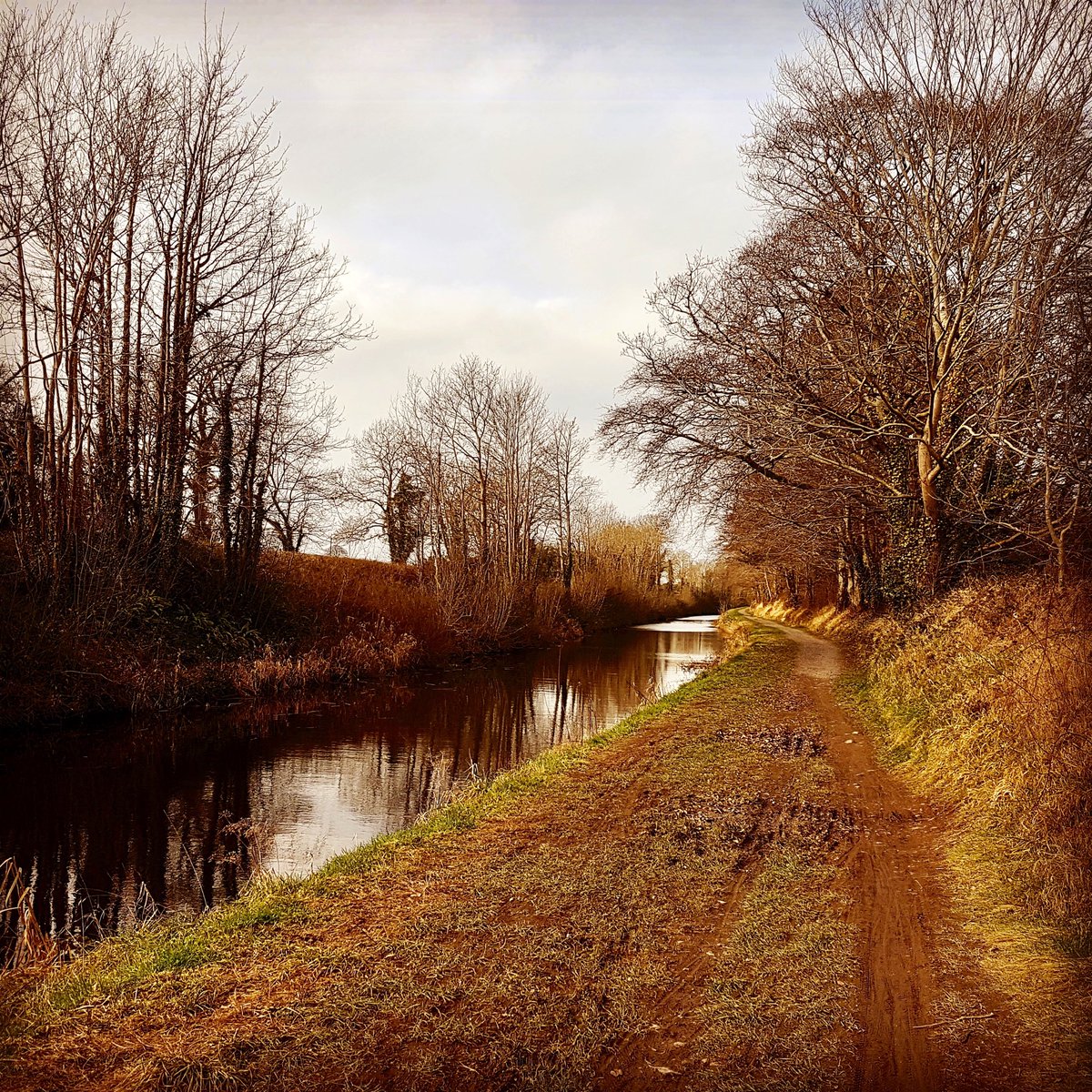 padraig42's tweet photo. 1 week to @TheRace_ie !!
250km run/bike/kayak in what's looking like being some testing weather conditions! Easy run along the canal today, no time for injuries! Can't wait to get going now😁 #wintertraining #therace18 #beastfromtheeast #53dn https://t.co/Of3DCcEEY3