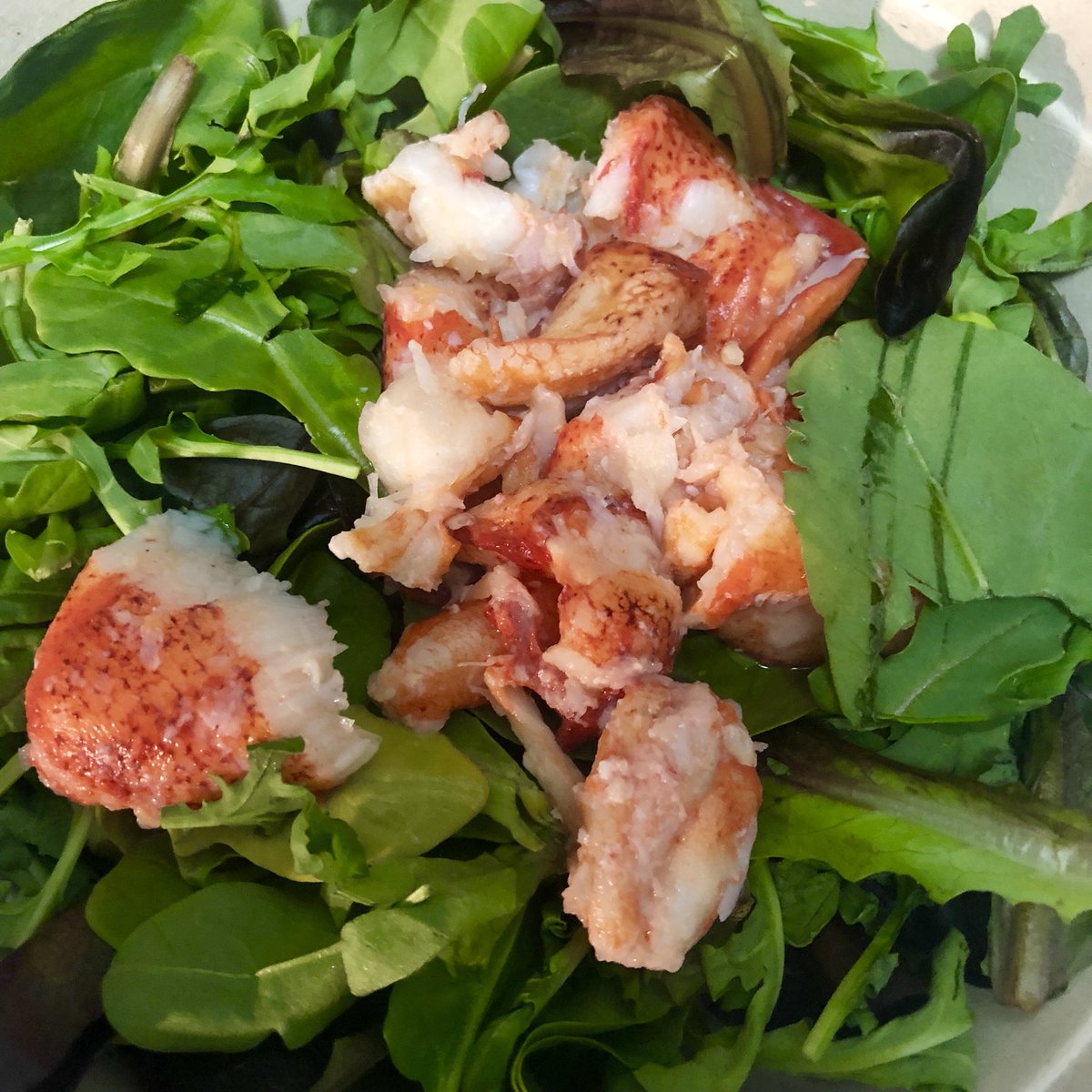 welldressedgeek's tweet photo. #SeasonalSalad from #LukesLobster #Tastethesource #Lobster https://t.co/pxPKh9Qq2H
