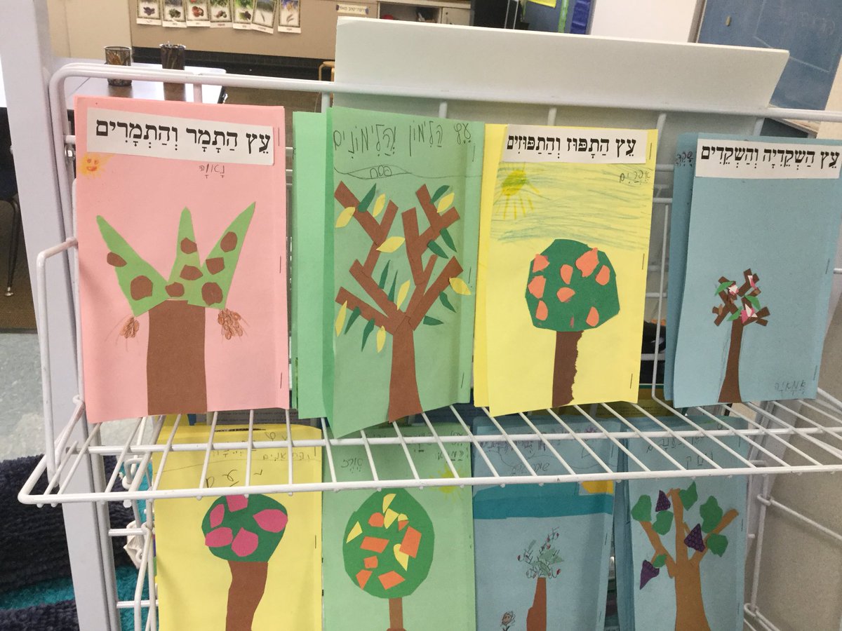 Hebrew_SSDS's tweet photo. All kind of trees project עצים מכל המינים 
Reading together with friends #Rimonim@ssds https://t.co/whlFDaWmuK