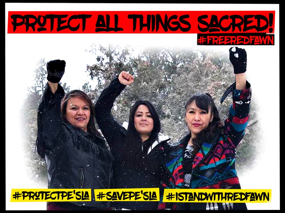 ChitkwesuManetu's tweet photo. + + Protect All Things Sacred + + 

#FREEREDFAWN #IStandWithRedFawn https://t.co/0qoii33Dji