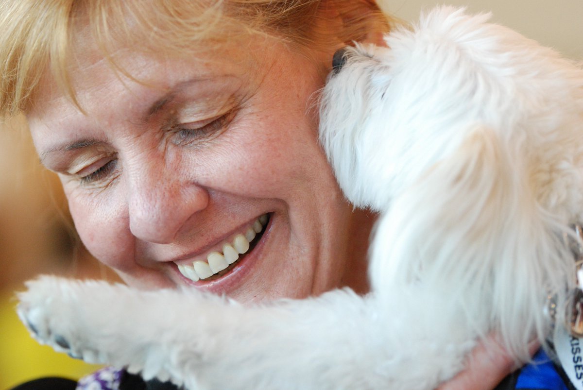 AAHPM's tweet image. #FlashbackFriday to #hpm17 with these sweet pet therapy dogs. More pet therapy animals will be making their way to #hpm18!