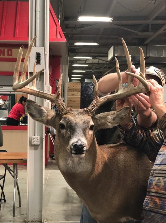 indyhuntingexpo's tweet photo. We were lucky enough to catch the scoring of this great looking 6x6 typical, shot in Delaware County by Jason Breedlove. Final score was 171 6/8. Congratulations for making it into Boone and Crockett Record Book. https://t.co/M4r3qSlOuv