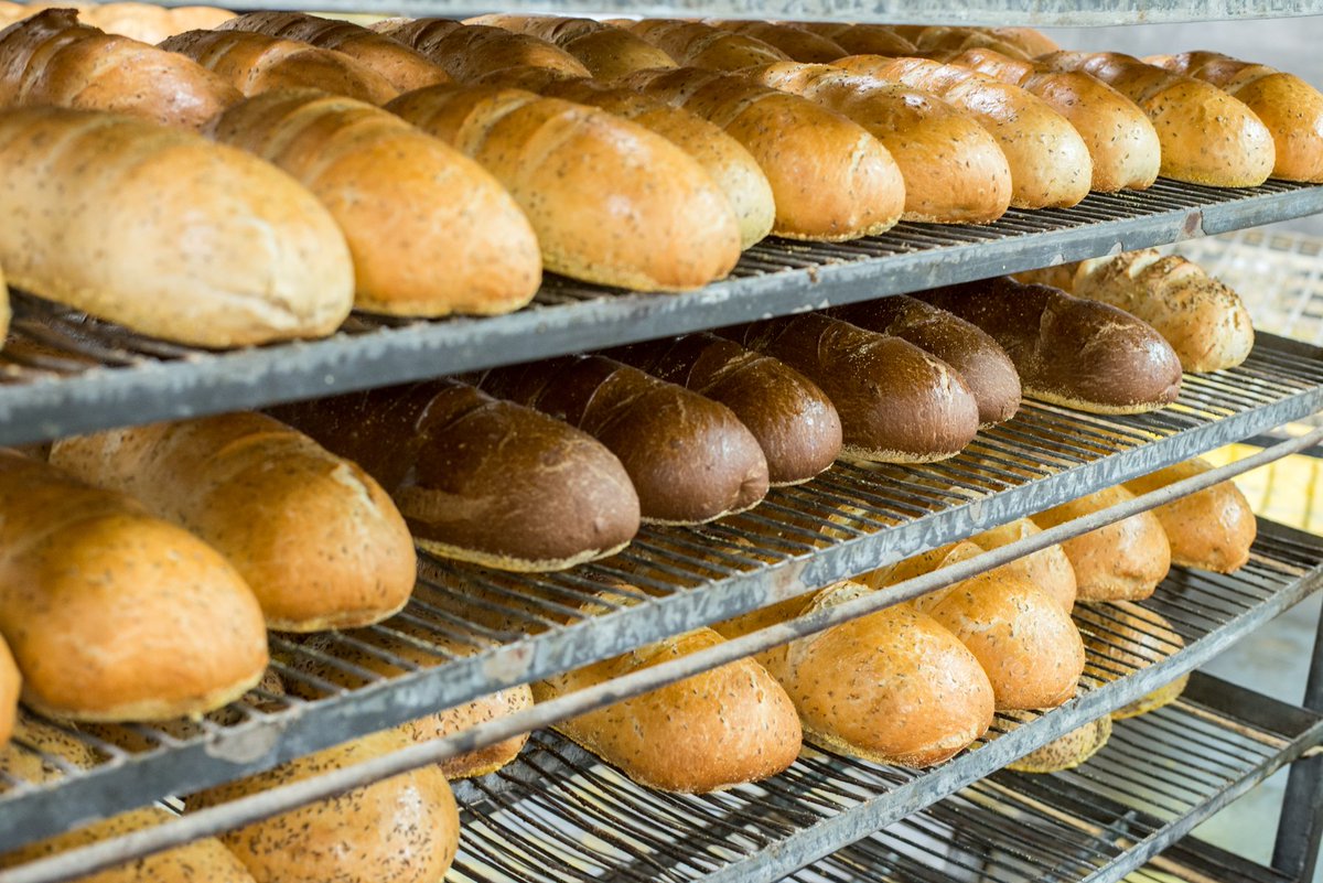 Fresh Rye bread baked daily. #jewish #ryebread #bread #jewishlife #jewishbakery #oldfashion #bakery #diamondbakery