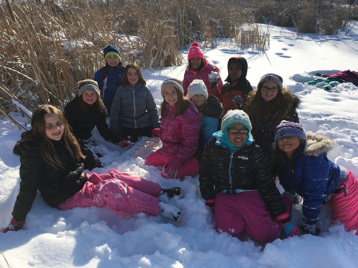 MrsHanstadClass's tweet photo. A beautiful day to play in the snow and search for signs of animals! @GlendalePLS https://t.co/JZaulA4U4H