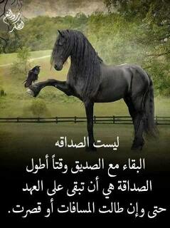 malaz_ Khaled (@12c1d5790e134aa) on Twitter photo 