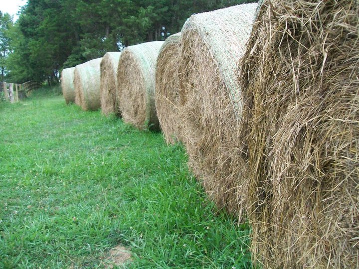 CFC Farm & Home Ctrs tweet media