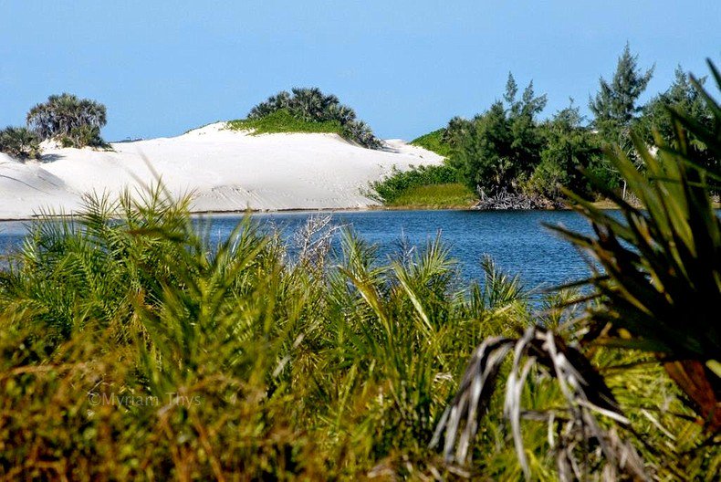 dichtbijverweg's tweet photo. #Mozambique is certainly one of the newest #hotspots in #Africa! It's Africa’s fasted growing economy. The country has 1500 miles (2500km) of #coastline  with #idyllicbeaches, and the #coralreefs belong to the most beautiful of the world: https://t.co/uEExQZ4Lgj https://t.co/jvOggWRDCK