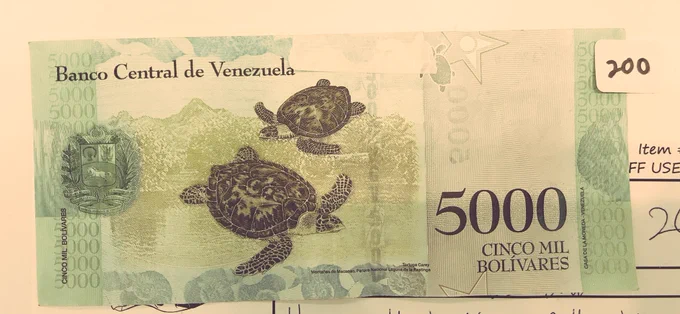 タイマイのお札…Hawksbill bill…なるほどな。 