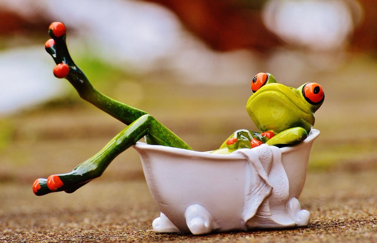 Sticky Buds (@stickybuds5280) on Twitter photo 