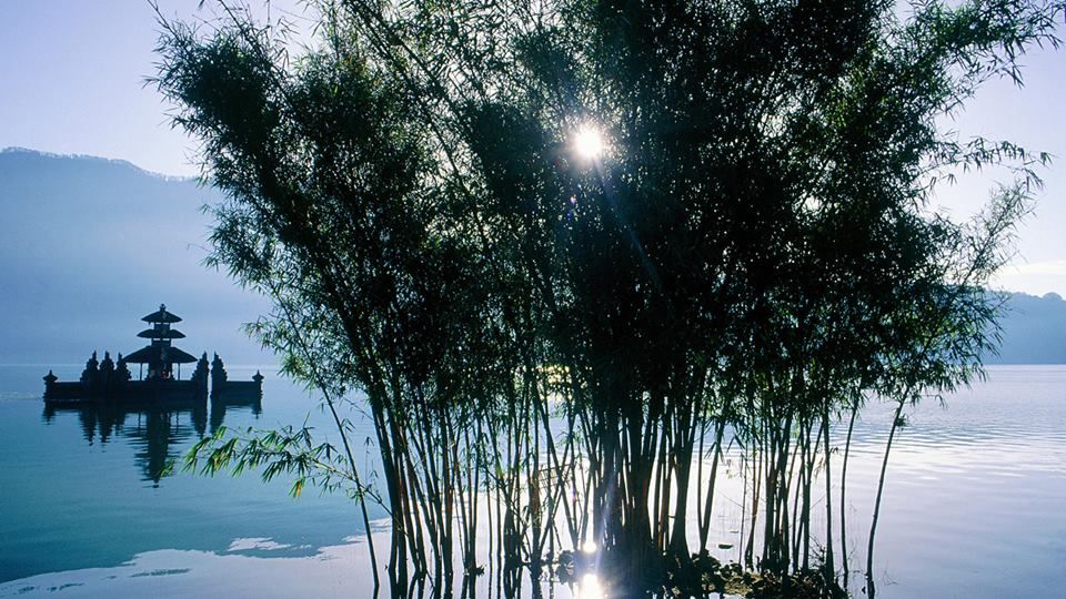 INTERNET_GOD_'s tweet image. “Ulun Danu temple and bamboos. Bratan Lake in the morning. Bali. Indonesia
@SunKuWriter
#SunKuWriter
SunKuWriter.com