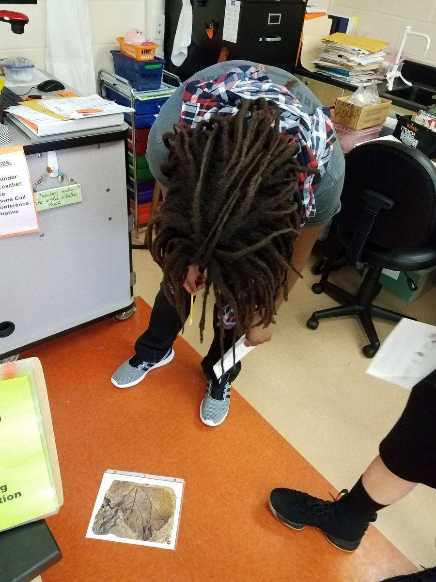 krivskyscience2's tweet image. 8.E.2 Leaf fossil Margin Analysis provides evidence of a changing Earth.
@smithsonian @WSFCS_Science