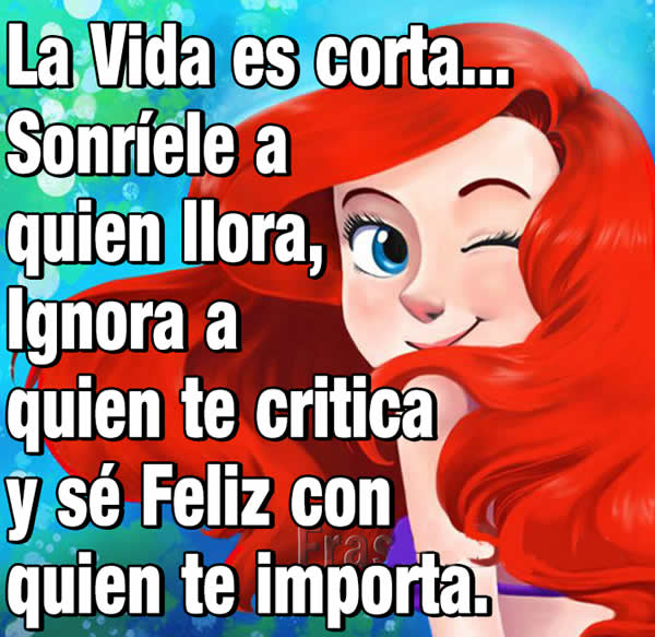 monitor20171's tweet image. 