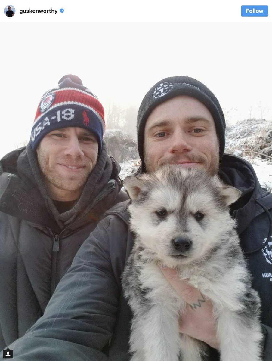 BuzzFeedNews's tweet image. Olympic freestyle skier Gus Kenworthy helped shut down a South Korean dog meat farm and will bring 90 of the pups to the US and Canada — including this one he's adopting for himself 🐶 buzzfeed.com/marcusjones/gu…