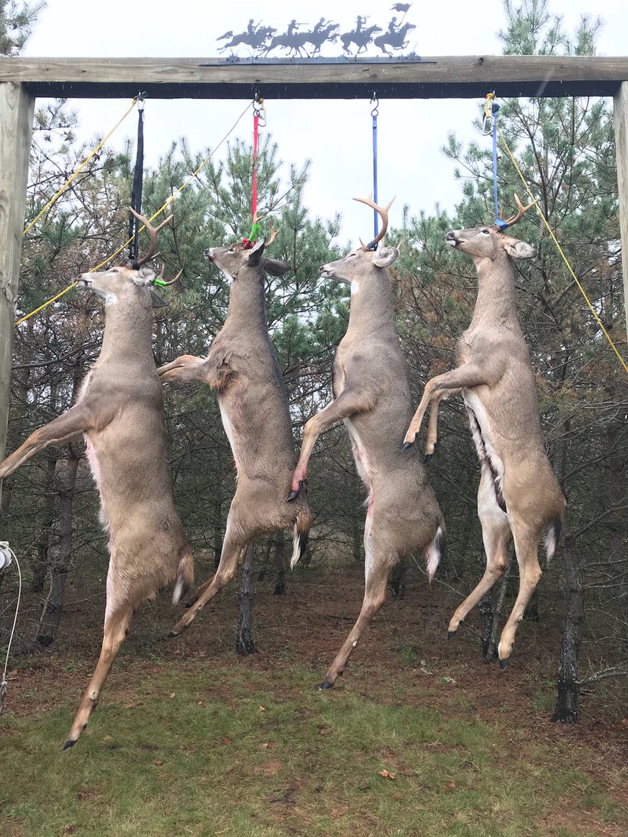 Sorry for the delay! We had a pretty successful 2017 hunting season here in Michigan! Here are 4 of the 8 bucks our crew took this past season. All 4 of these were harvested between Nov 12 - Nov 16. 2 bow/2 rifle.