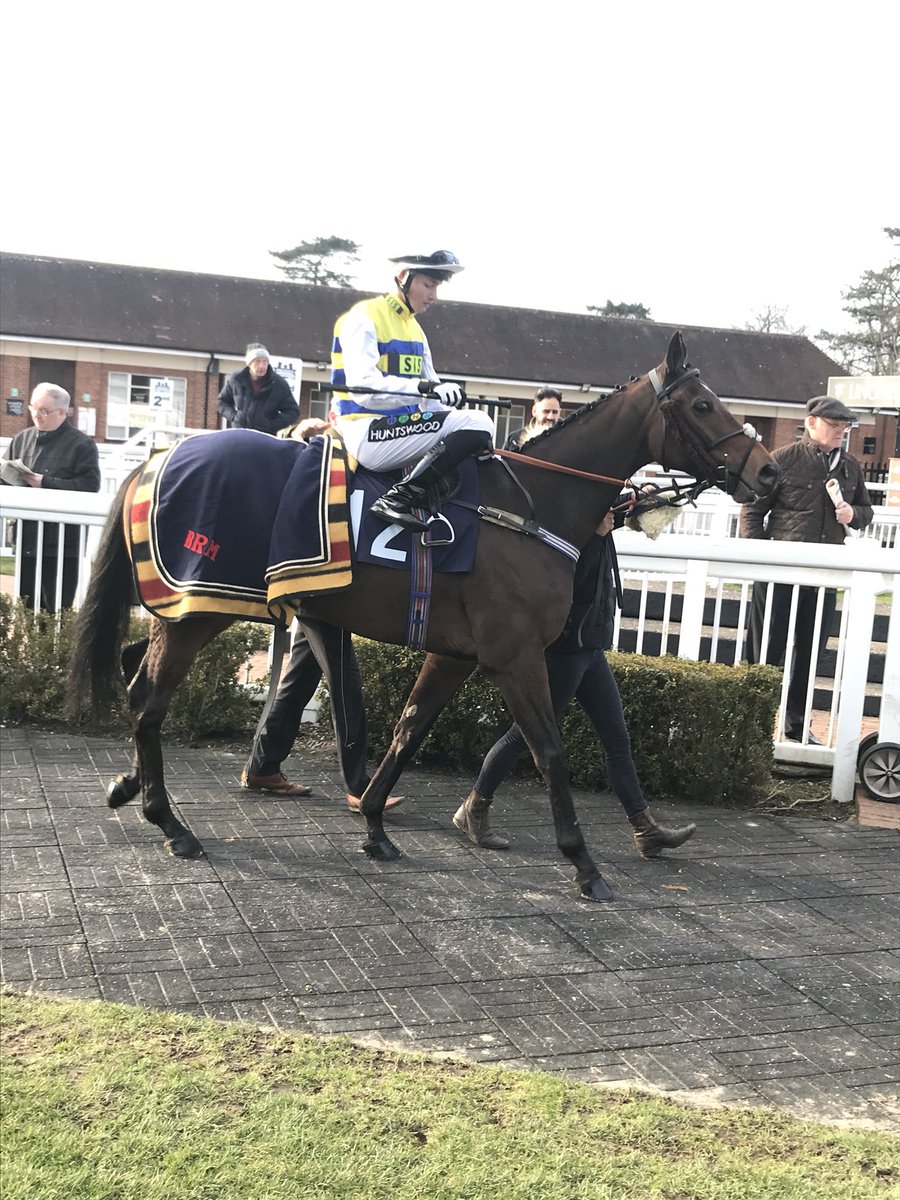 corbsinger's tweet image. The boy did us proud again today coming 3rd at 33-1 after going up 3 grades 😁😍 Outer Space is a little cracker and you can be involved for only £40 a week 🏇🏇🏇💙💛💙💛
