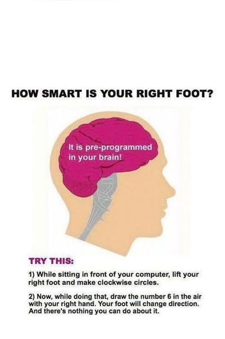 johnwolf3rd's tweet image. 