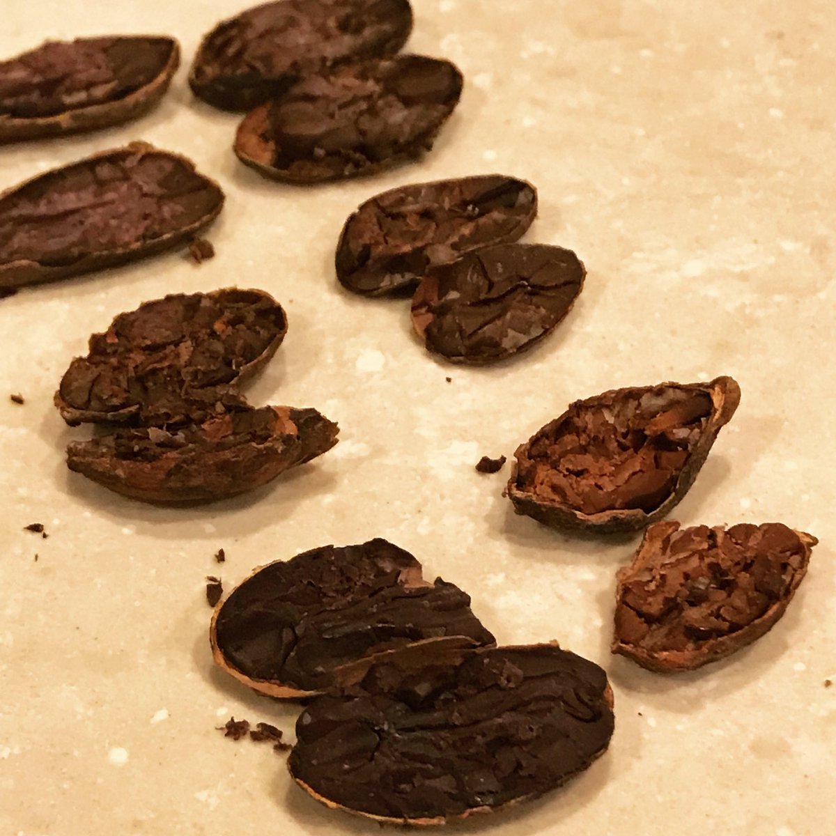 TChocolatenote's tweet image. We are in Trinidad hunting for cacao! Perfect fermentation and drying with those gorgeous beans. The pale has note of peach and light passion fruit, the darker nuts and roasted cocoa with notes of coffee. never any bitterness! So rounded and fine to the palate.
I am in ♥️