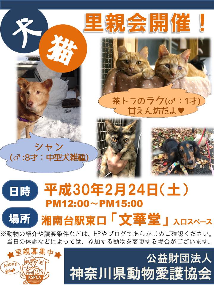 公益財団法人 神奈川県動物愛護協会 おはようございます 今日は湘南台で里親会です 駅からも近く また文華堂さんには書籍だけでなく 猫のカレンダーやハガキなどの動物グッズもたくさん陳列されているので ぜひ足を運んでみてください ノ