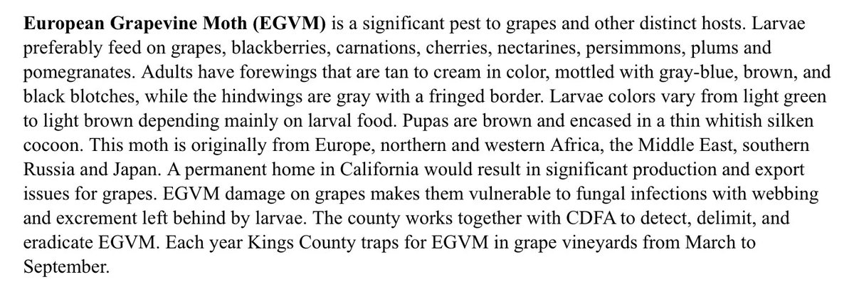 KingsAgComm's tweet image. Did you know?? - Kings County traps EGVM in grape vineyards!